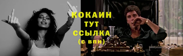 ПСИЛОЦИБИНОВЫЕ ГРИБЫ Гусев