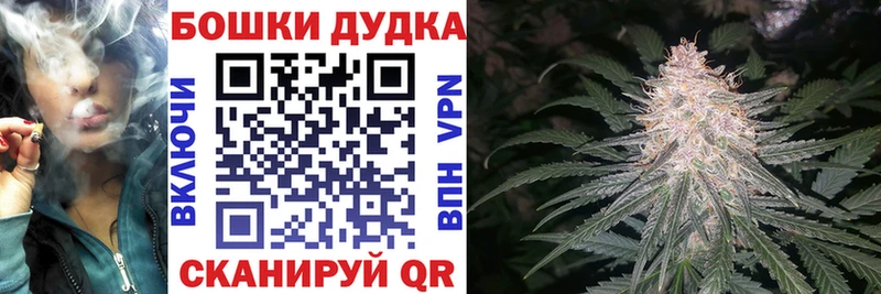 МАРИХУАНА конопля Котельнич